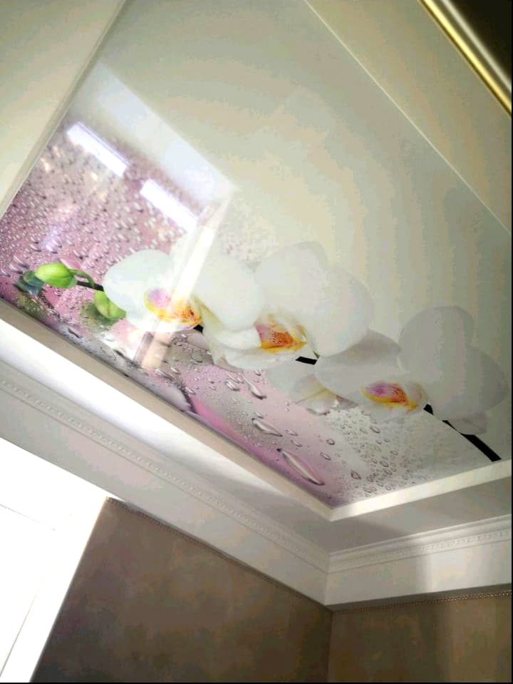 Tavan Extensibil cu Print