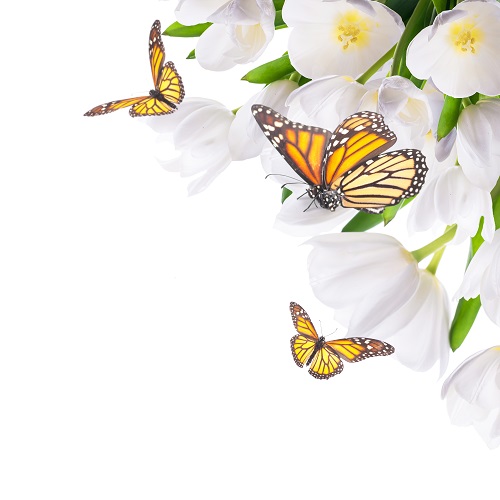 Cameră copii cu personaje animate