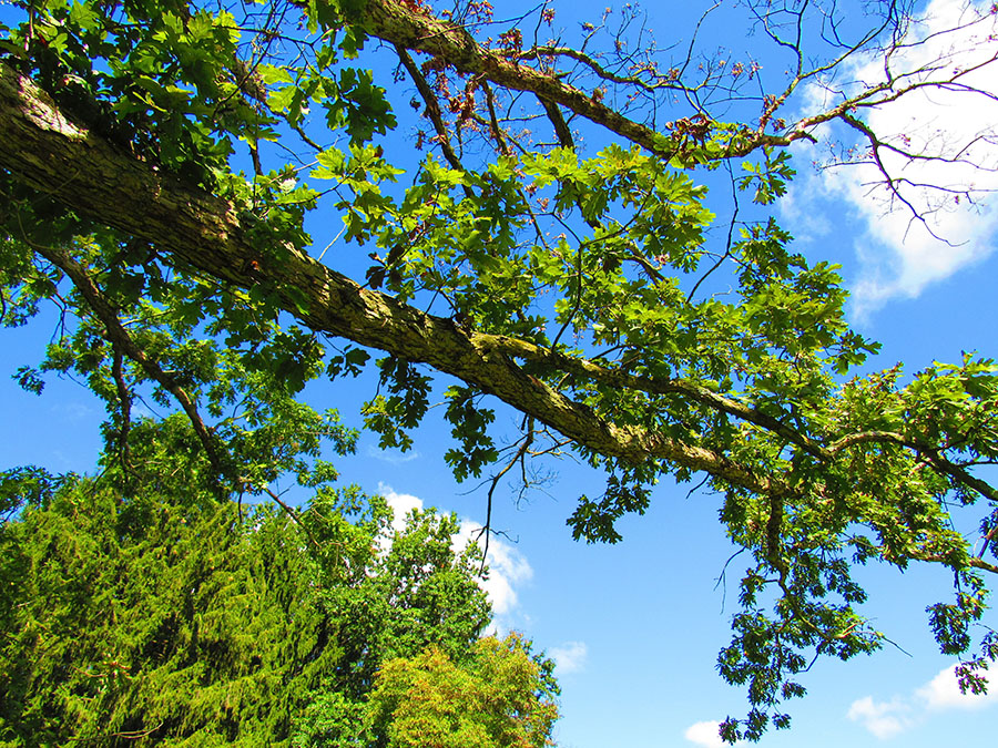 Living cu panoramă montană